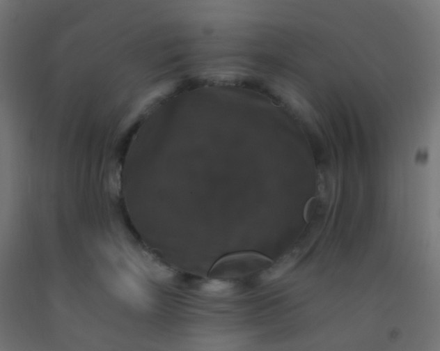 X0000092320718200709281406