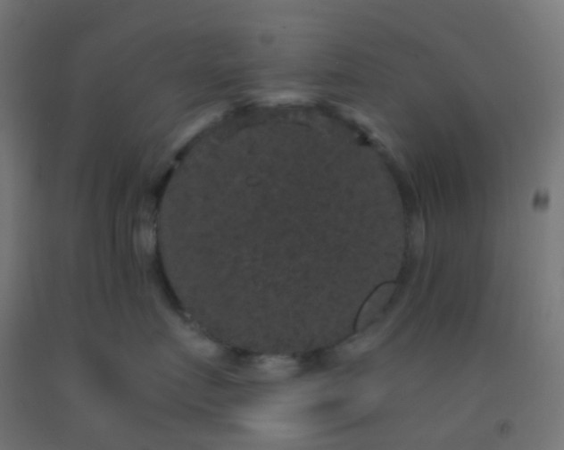 X0000092320719200709281406