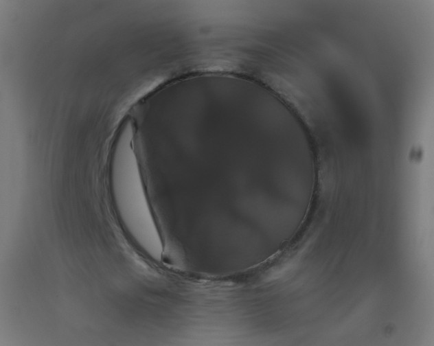 X0000092320721200709281405