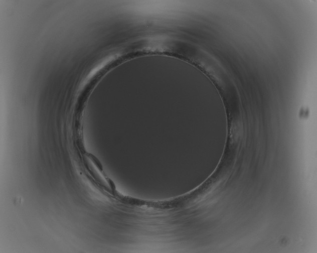 X0000092320722200709281405