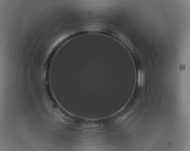 X0000092320723200709281405