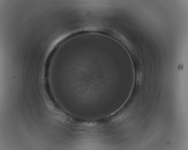 X0000092320724200709281405
