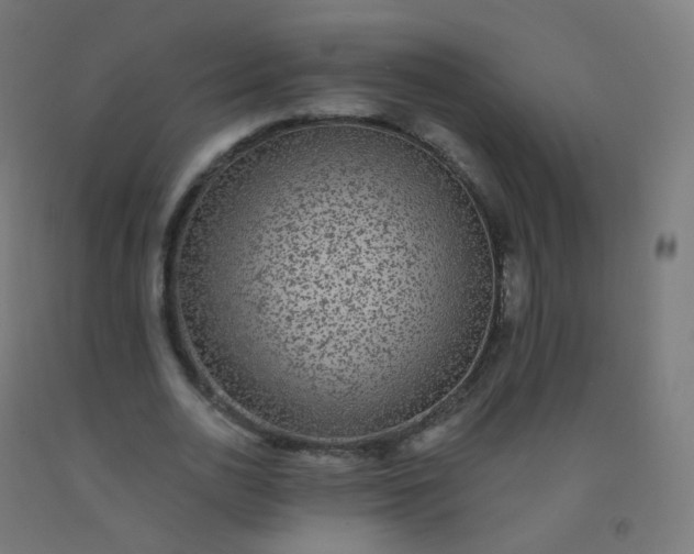 X0000092320726200709281405