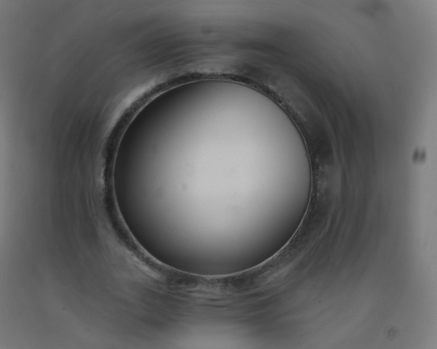 X0000092320727200709281405