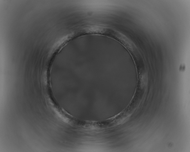 X0000092320729200709281405