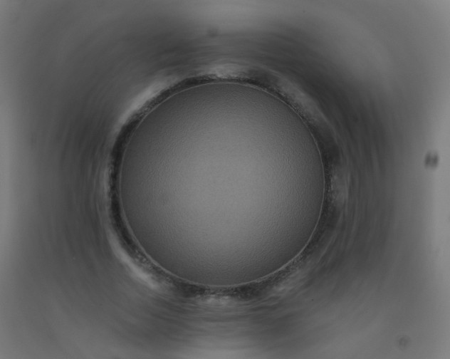 X0000092320730200709281405
