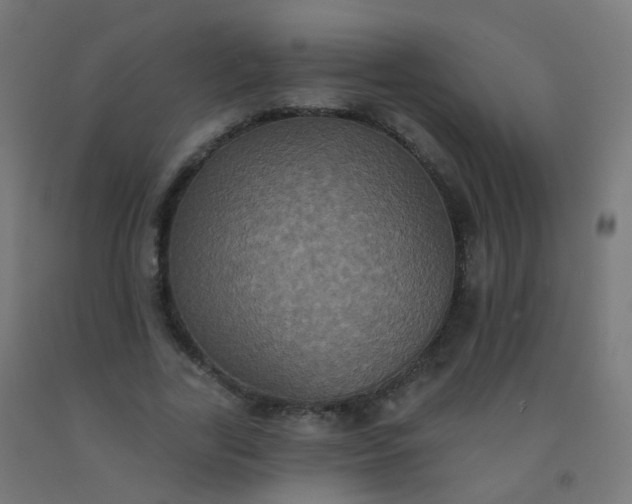 X0000092320731200709281405