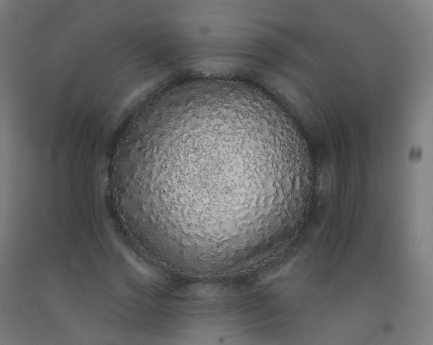 X0000092320733200709281405