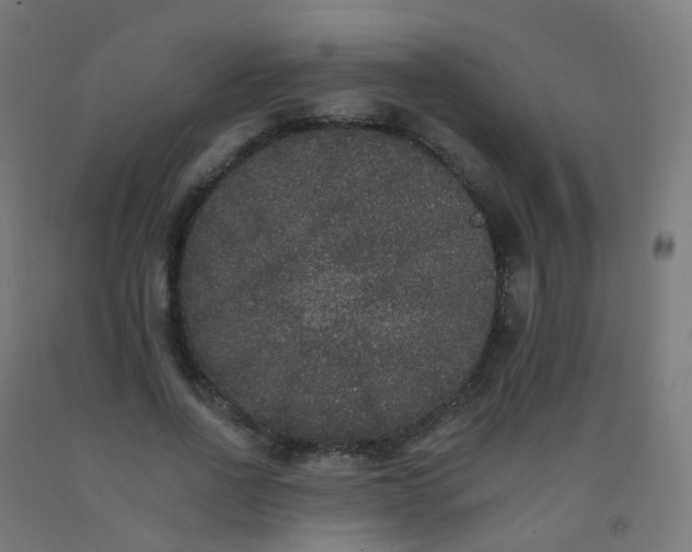 X0000092320734200709281405