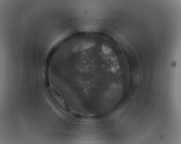 X0000092320735200709281405