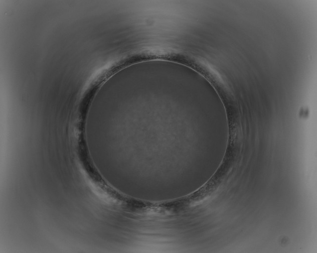 X0000092320736200709281405