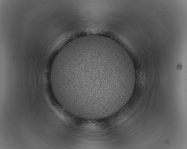 X0000092320738200709281405