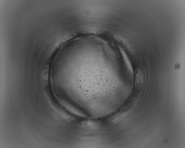 X0000092320739200709281405