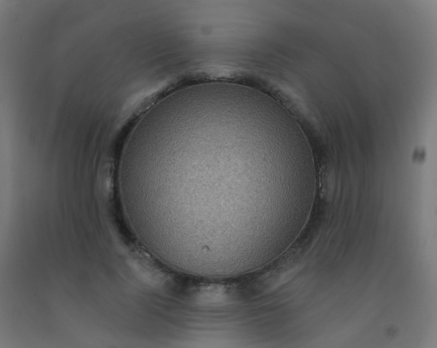 X0000092320740200709281406