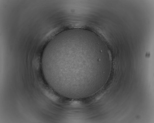 X0000092320741200709281406