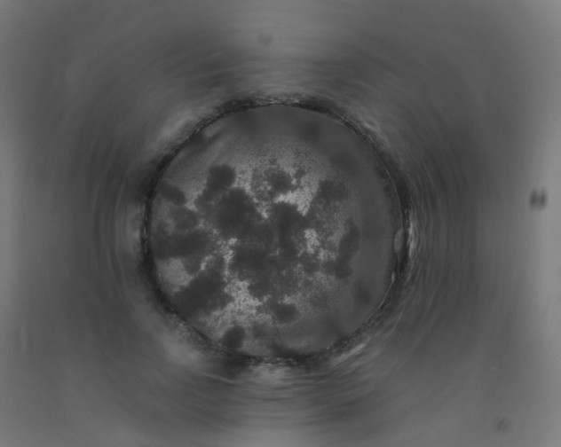 X0000092320742200709281406