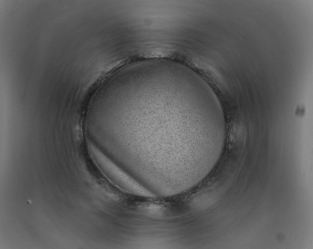 X0000092320743200709281406
