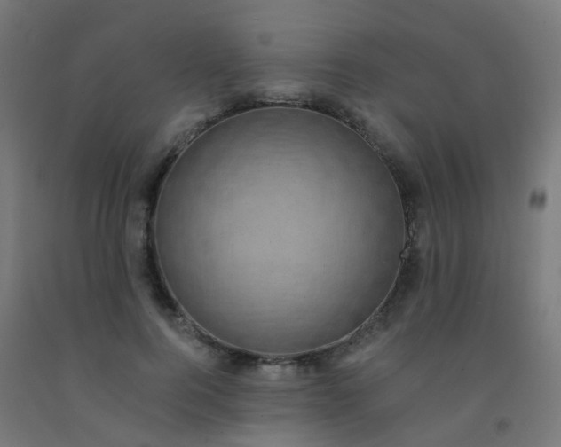 X0000092320744200709281406