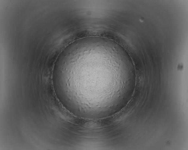 X0000092320745200709281406
