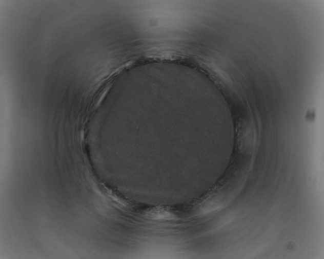 X0000092320747200709281406