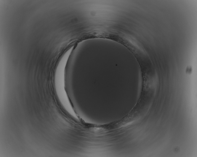 X0000092320748200709281406