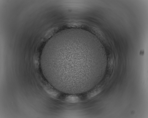 X0000092320749200709281406