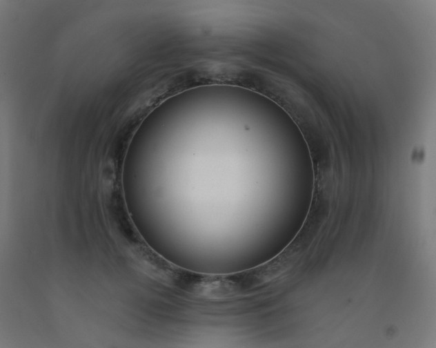 X0000092320752200709281406