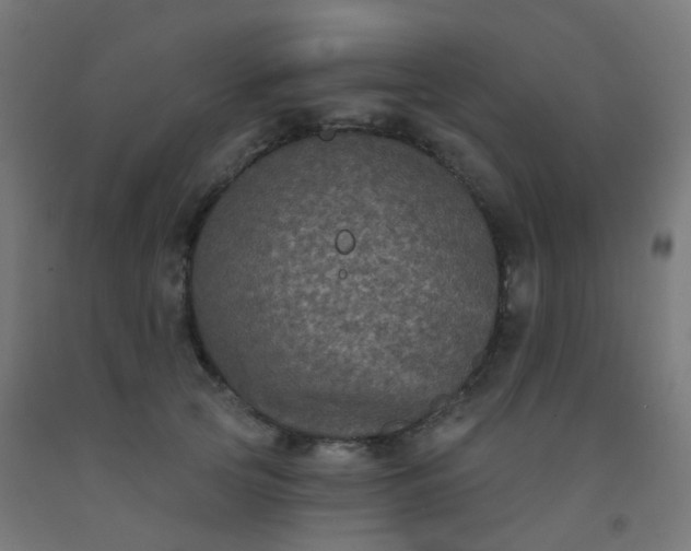 X0000092320753200709281406