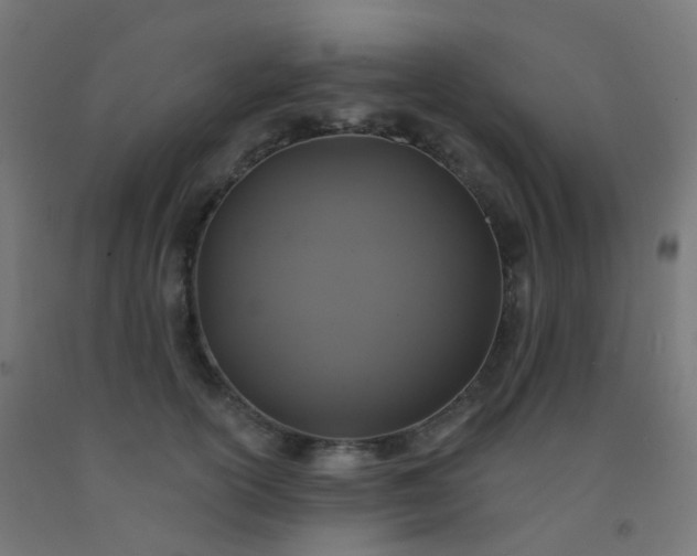 X0000092320754200709281406