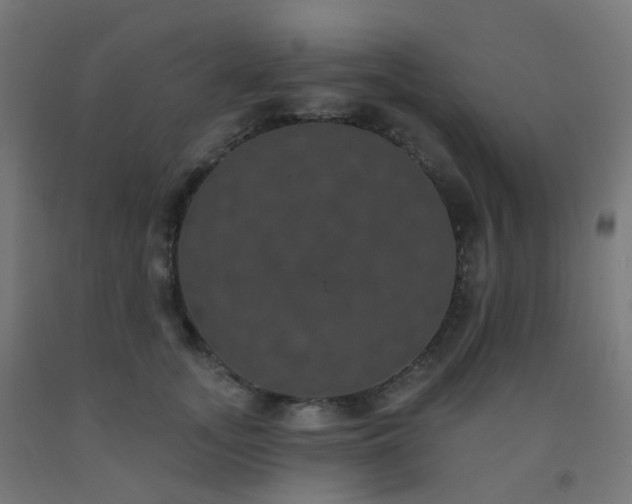 X0000092320755200709281406