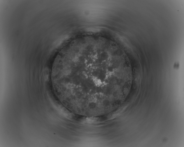 X0000092320758200709281406