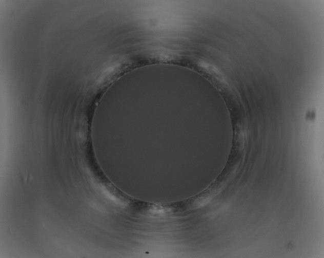 X0000092320760200709281406