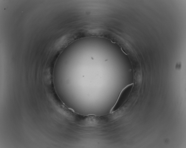 X0000092320764200709281406