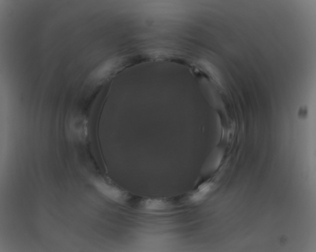 X0000092320766200709281406