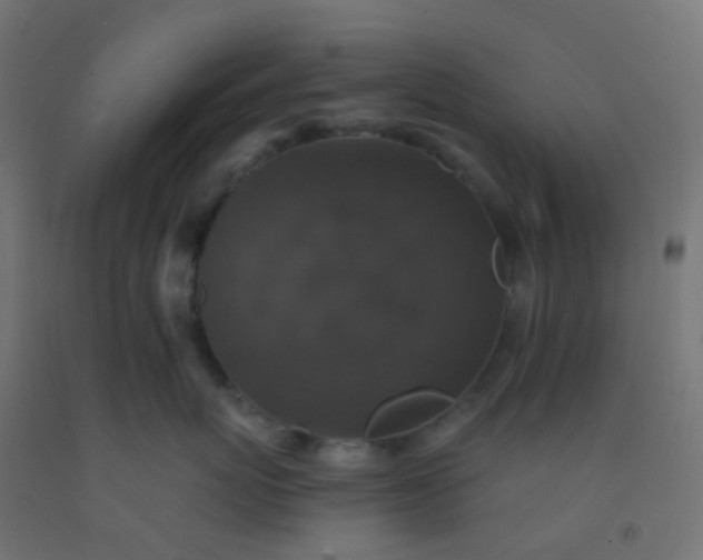 X0000092320767200709281406