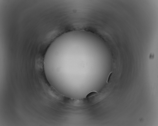 X0000092320768200709281406