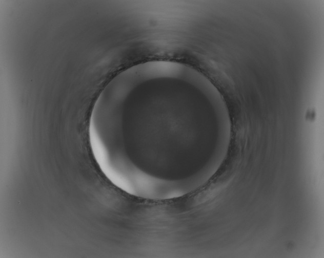 X0000092320769200709281405