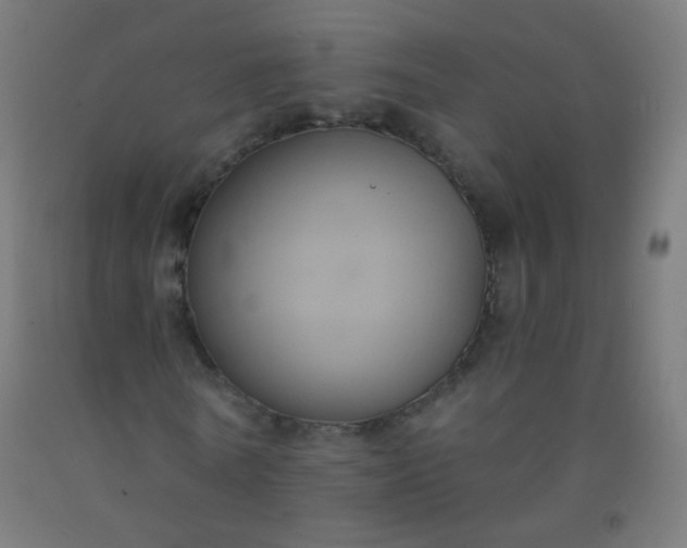 X0000092320770200709281405