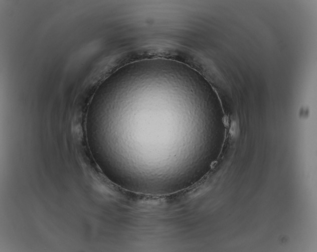 X0000092320771200709281405