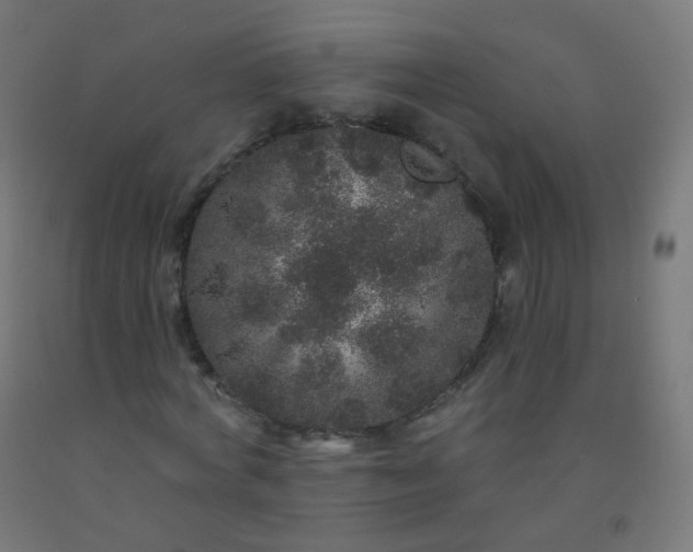 X0000092320772200709281405
