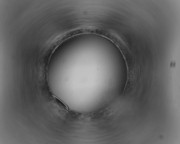 X0000092320773200709281405