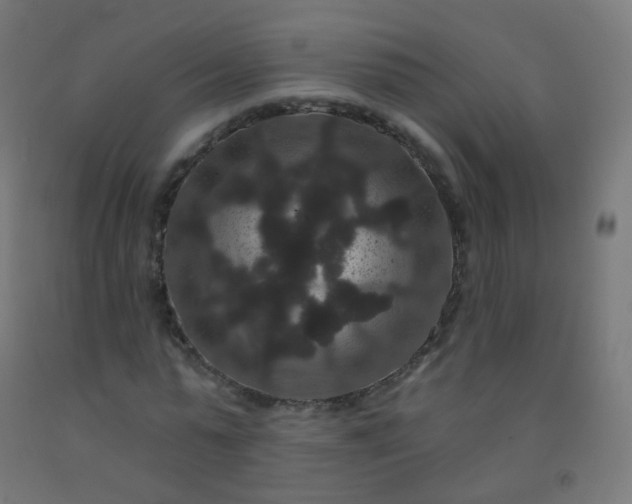 X0000092320775200709281405