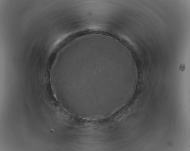 X0000092320776200709281405