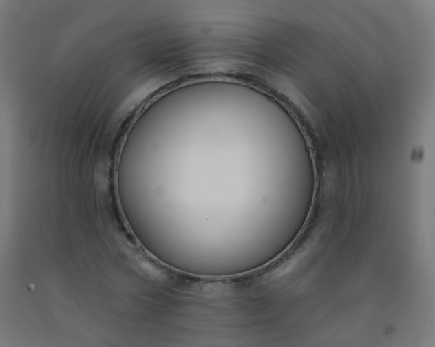 X0000092320778200709281405