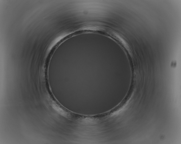 X0000092320779200709281405