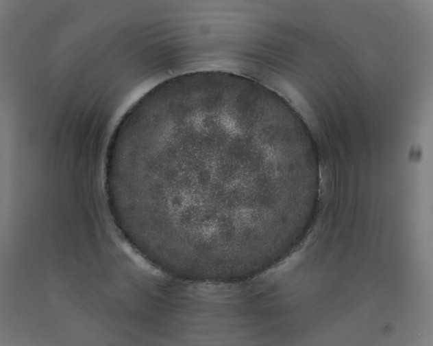 X0000092320780200709281405