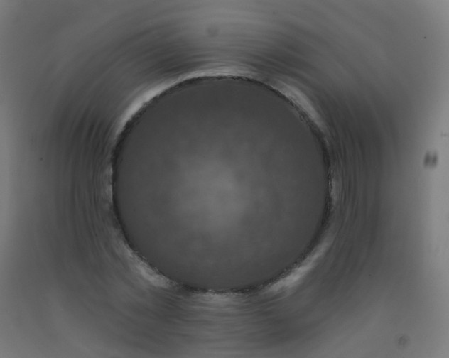 X0000092320781200709281405