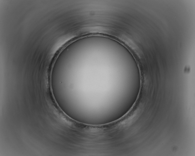 X0000092320782200709281405