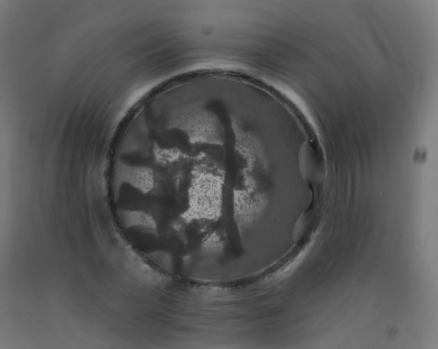 X0000092320783200709281405