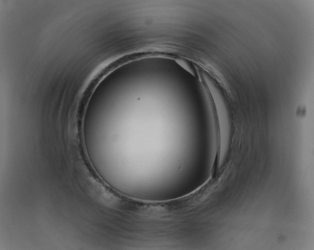 X0000092320784200709281405